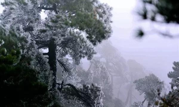 晚清魔咒:连续四代君王都出现人丁不兴旺的局面